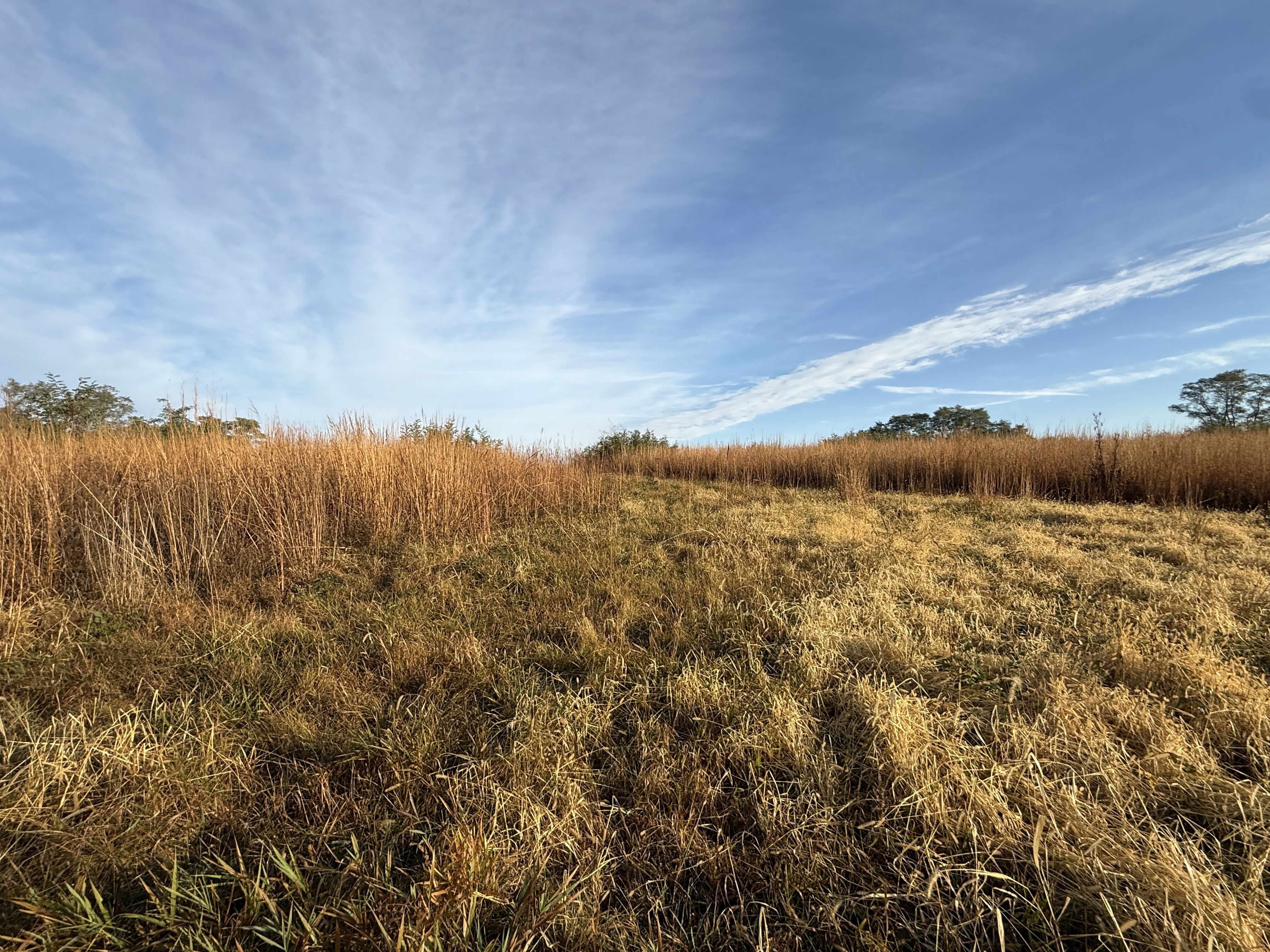 Listing Photo: Photo Oct 30 2025, 8 52 49 AM